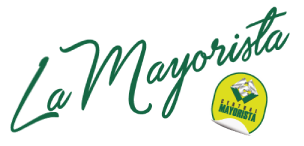 MAYORISTA LOGO